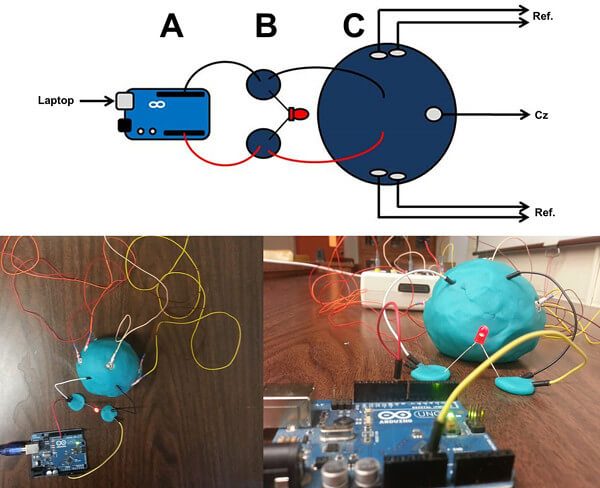 実験の様子の画像