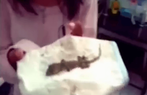 女性が出産したというトカゲの画像