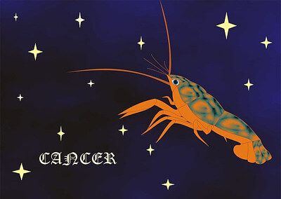 かに座のイラスト