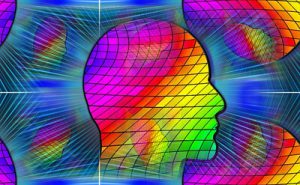 人間の頭のイメージ画像