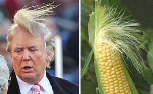 トランプ大統領&とうもろこし
