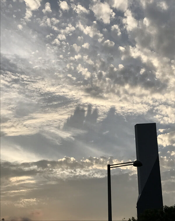 空中都市の投稿画像