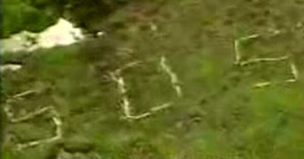 現場に書いてあったSOSの画像