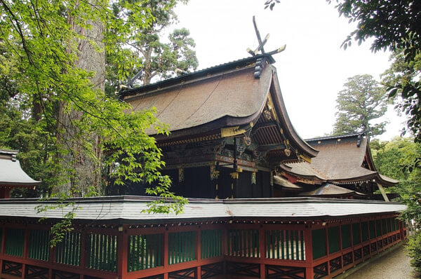 鹿島神宮 本殿の写真