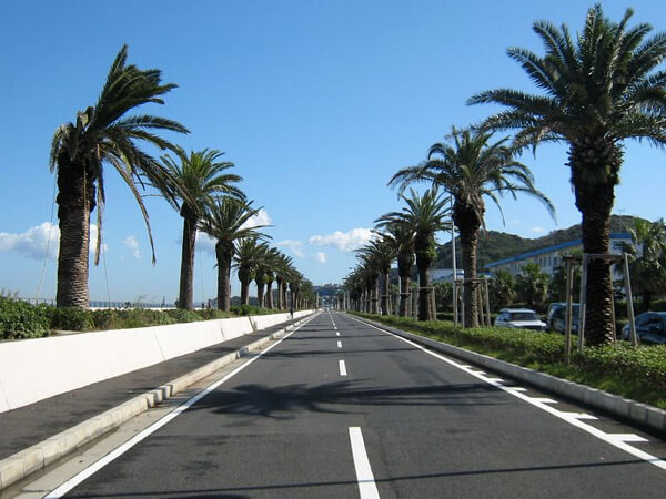 まぼちょくの画像