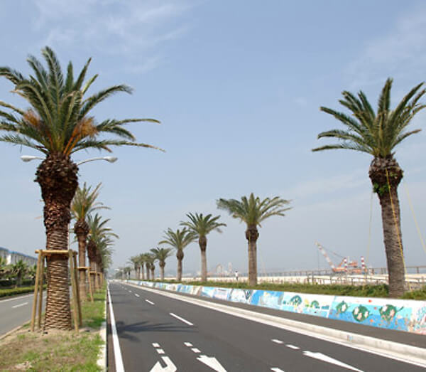 「うみかぜの路」の画像