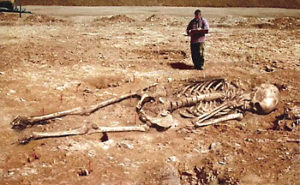 巨人の骨の画像