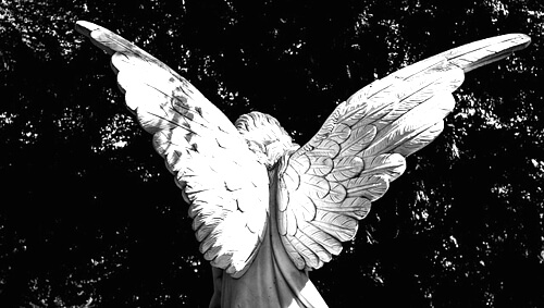 天使の画像