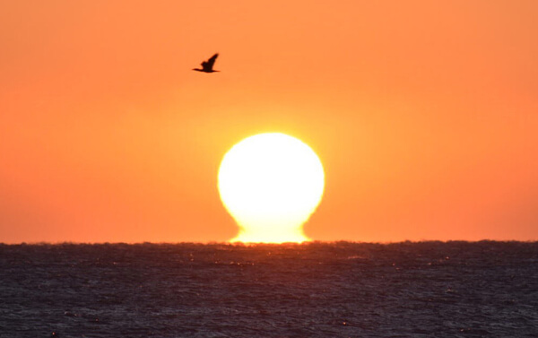 だるま初日の出の写真