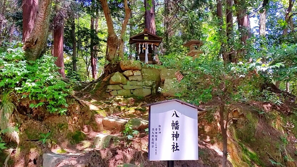 滋賀県の八幡神社の写真