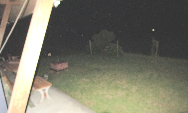 中年おっさんさんからの投稿写真