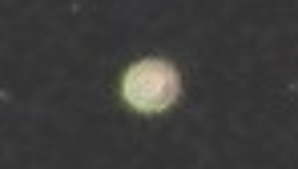 中年おっさんさんからの投稿写真(拡大)