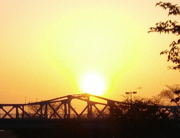 未確認飛行物体の画像