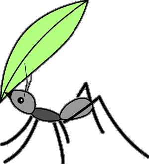 アリのイラスト