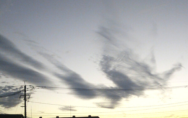 鳳凰のような雲の写真