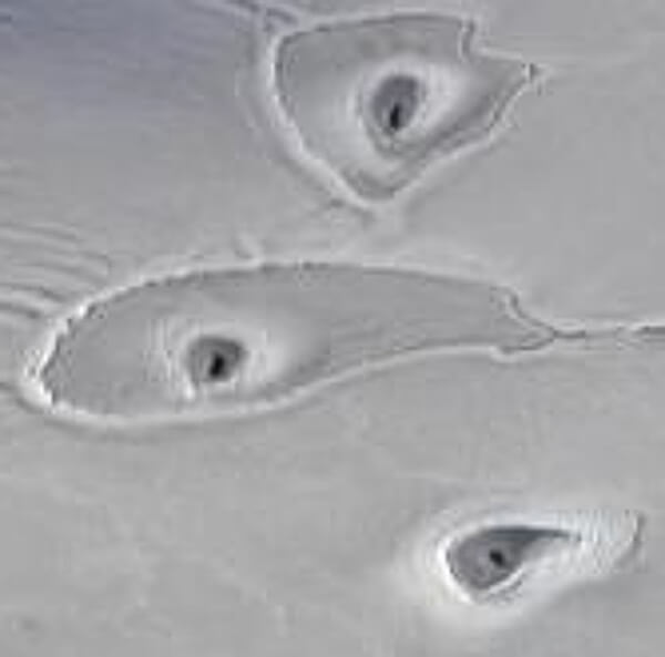 北極圏で発見された海氷の穴の写真(拡大)