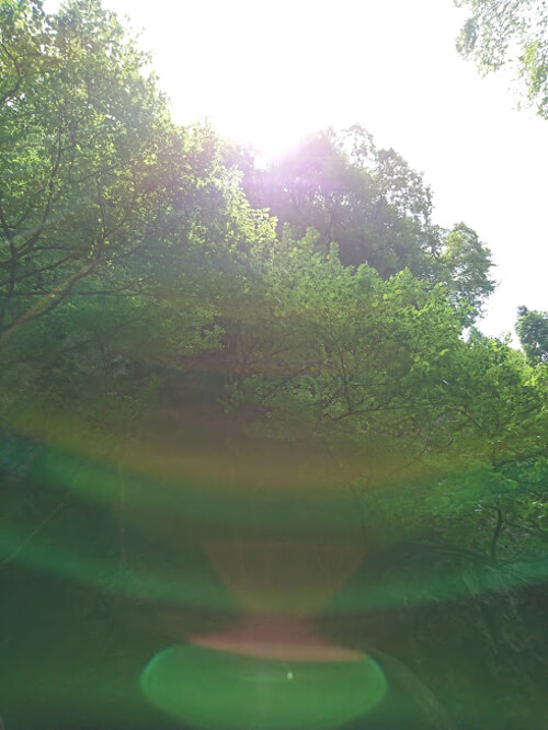 おやじさんが撮影したレア写真