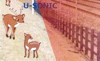 シカ踏切のイラスト