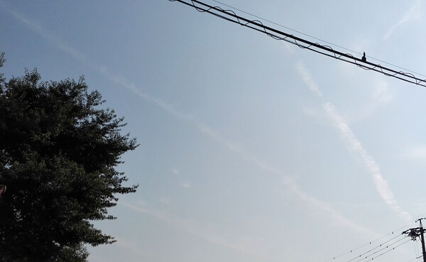 地震雲の投稿写真