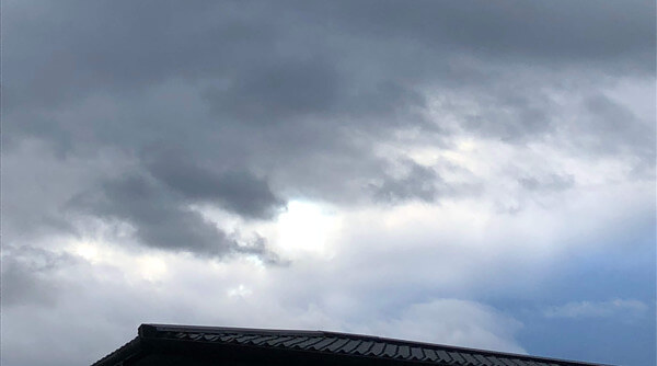 関西住みさんからの投稿写真