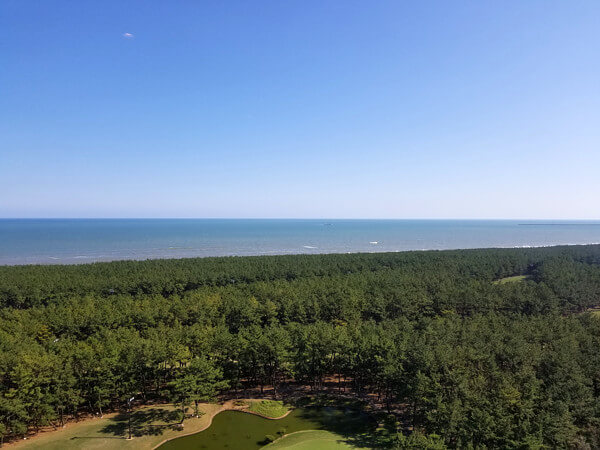 ひむかさんからの投稿写真