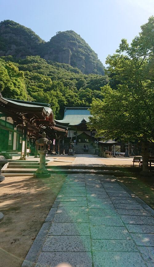 ひまありさんからのご投稿写真