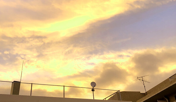 当麻さんからの投稿写真