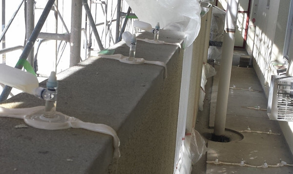 やぎゅうじゅうべえさんからの投稿写真