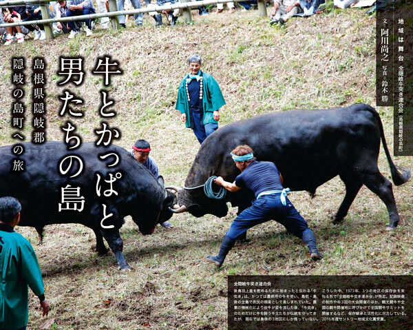 にゃんこさんからの投稿写真