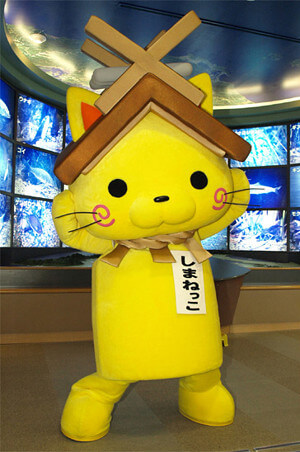 しまねっこの写真