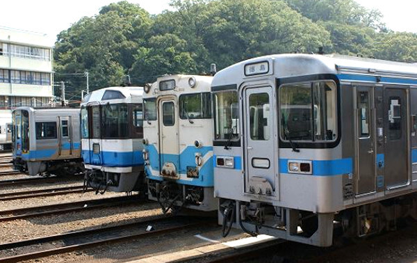 もみさんからの投稿写真