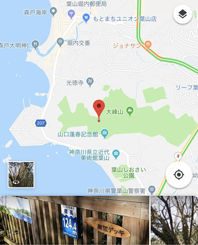 LAVAさんからの投稿写真