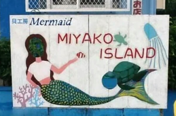 にぃえさんからの投稿写真