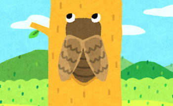 セミのイラスト