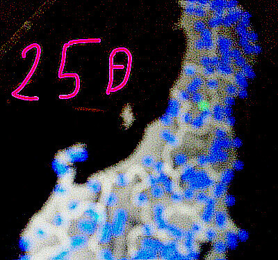 強震モニタの画像