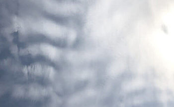 地震情報の画像