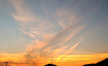 うりちゃんさんからの投稿写真