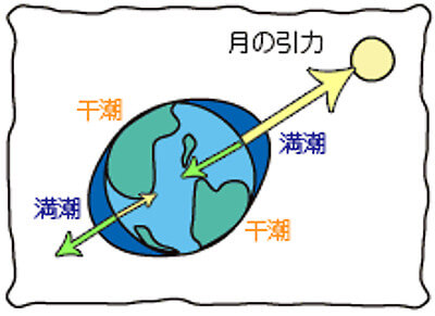 干潮と満潮が起こる仕組みの画像