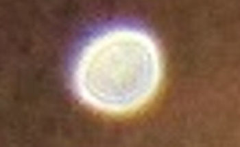 中年おっさんさんからの投稿写真