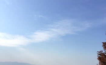 りぴあさんからの投稿写真