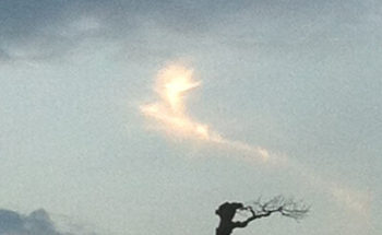 西洋のドラゴンっぽい雲