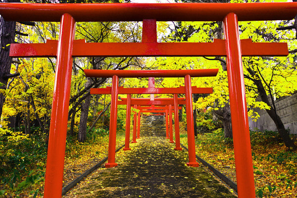 神社の赤い鳥居の写真