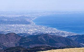 相模湾の写真