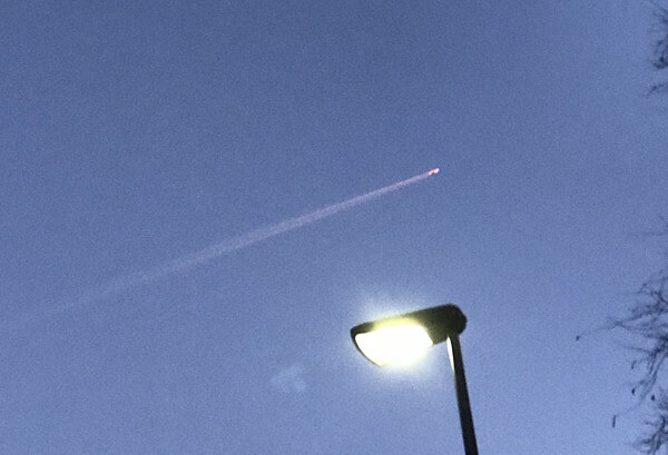 こぎやさんからの投稿写真