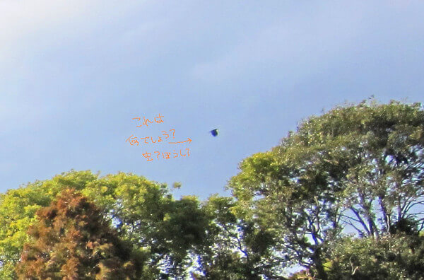 渦のたまごさんからの投稿写真(拡大その1)