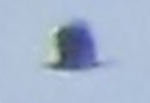 渦のたまごさんからの投稿写真(回転)