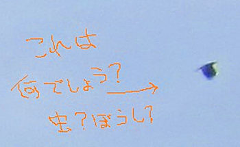 渦のたまごさんからの投稿写真