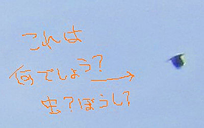 渦のたまごさんからの投稿写真