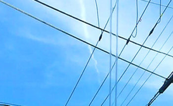 ふまけんさんからの投稿写真