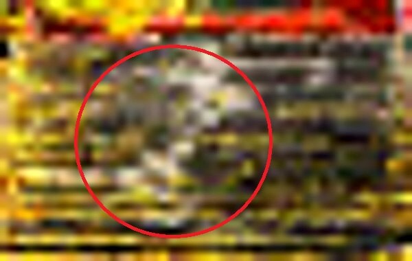 札幌伏見稲荷神社の写真